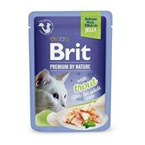 Brit Premium Cat D Fillets in Jelly with Trout 85g