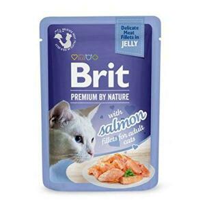 Brit Premium Cat D Fillets in Jelly with Salmon 85g