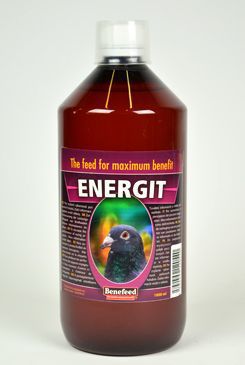 Energit holubi 1l