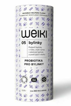 Weiki 05 bylinky