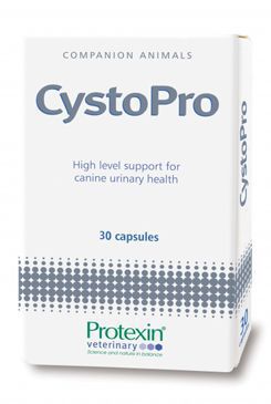 Protexin CystoPro pro psy 30tbl