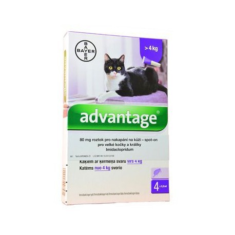 Advantage 80 10% 4x0,8ml pro kočky nad 4kg