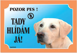 Tabulka Tady hlídám! Labradorský retriever světlý 1ks