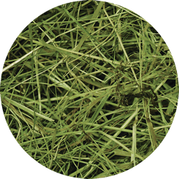 Seno  luční RabbitWeed 1kg