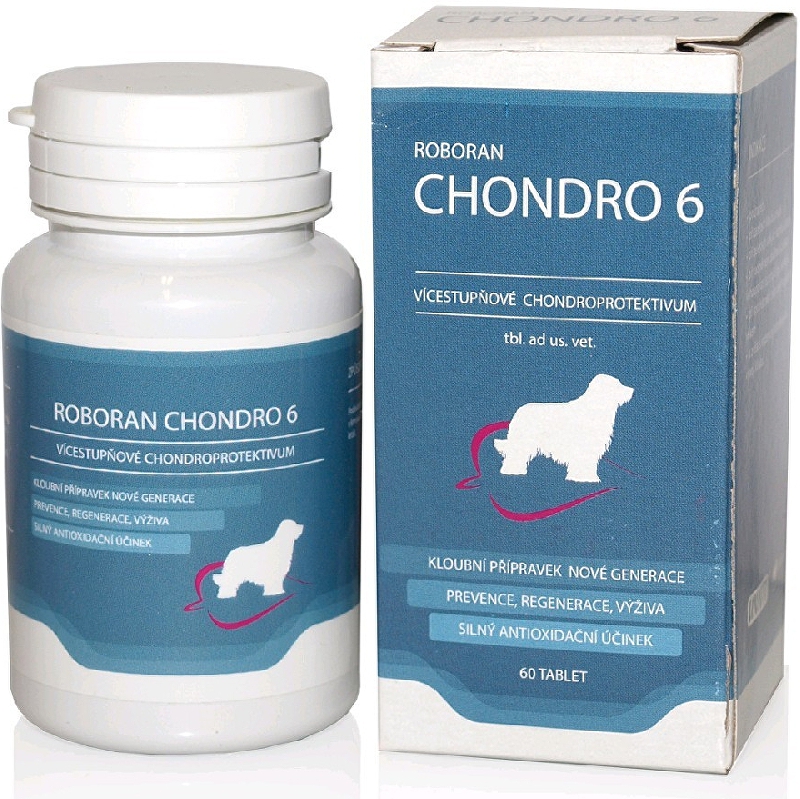 Roboran Chondro 6 pro psy 60tbl