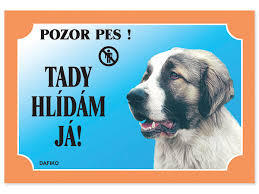 Tabulka Tady hlídám! Kavkazský ovčák 1ks