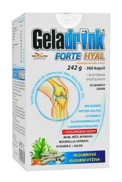 Geladrink Forte HYAL 360 cps