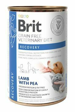 Brit VD Dog+Cat GF konz. Recovery 400g