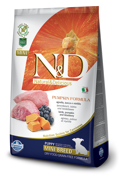 N&D Pumpkin DOG Puppy Mini Lamb & Blueberry 2,5kg