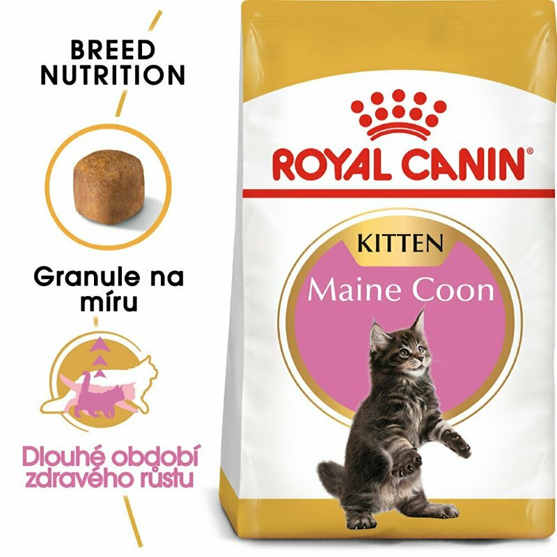 Royal canin Breed  Feline Kitten Maine Coon 10kg