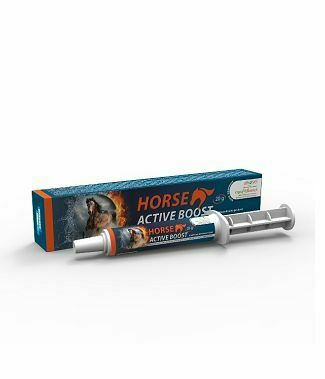 Horse Active Boost perorální pasta 1x20g