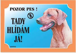 Tabulka Tady hlídám! Rhodéský ridgeback 1ks