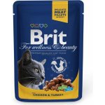 Brit Premium Cat kapsa with Chicken & Turkey 100g