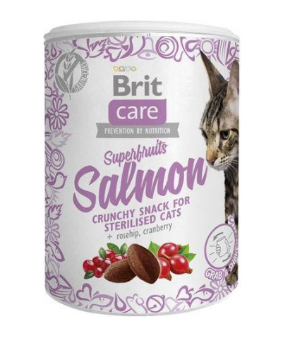 Brit Care Cat Snack Superfruits Salmon  100g