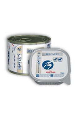 Royal Canin VD Fel / Can Recovery 195g konz