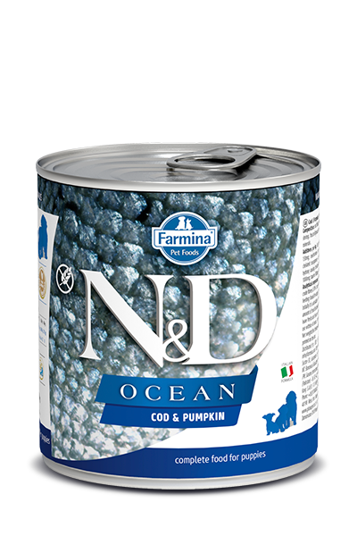 N&D DOG OCEAN Puppy Codfish & Pumpkin 285g