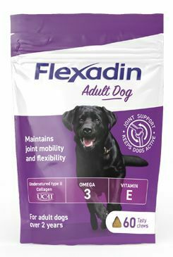 Flexadin 4Life Adult Dog žvýkací 60tbl