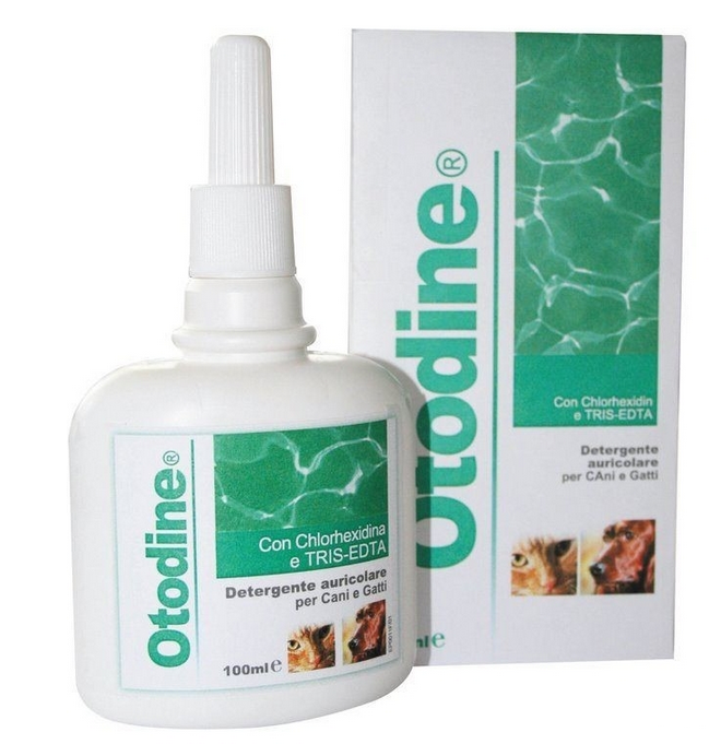 Otodine 100ml