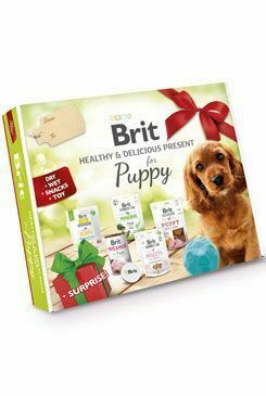 Brit Care Box Dog Puppy EU made Snacks+Surprise