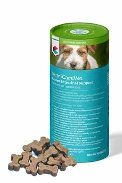 NutriCareVet Intestinal supp. Canine CHEW 60tbl CVET