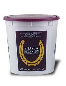 FARNAM Vitamin E + Selenium plv 1,13kg