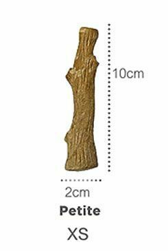 Hračka pes žvýkací Petstages Dogwood XS Petite