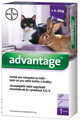 Advantage 80 10% 1x0,8ml pro kočky nad 4kg