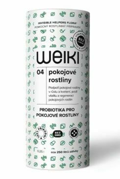 Weiki 04 pokojové rostliny