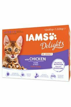 Iams Cat Kotě - v omáčce multipack 12x85g