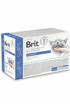 Brit VD Cat Pouch fillets in Gravy Recovery 12x85g